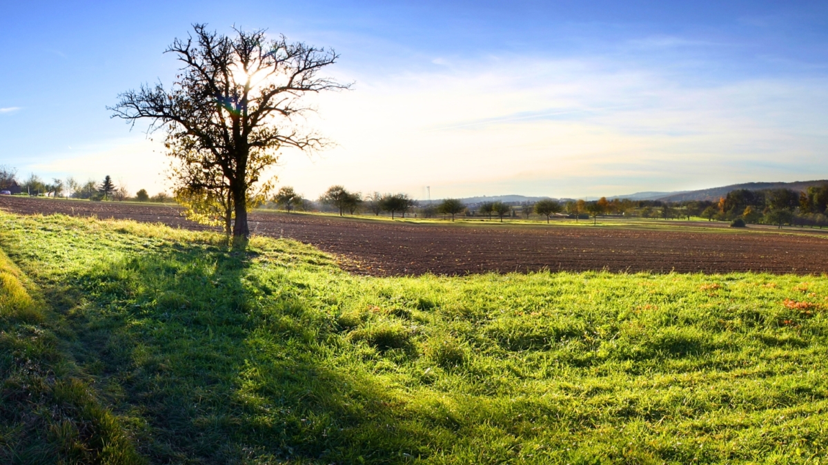 Guide to Buying Land in Kenya