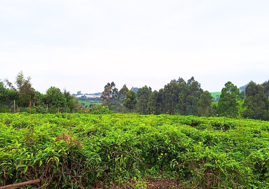 1Acre Land for Sale Near Limuru Girls