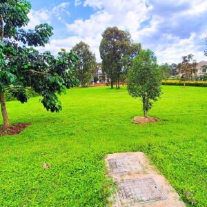 1 Acre land for sale in Karen