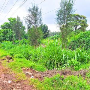 1/8 Acre commercial land in Muchatha, Ruaka