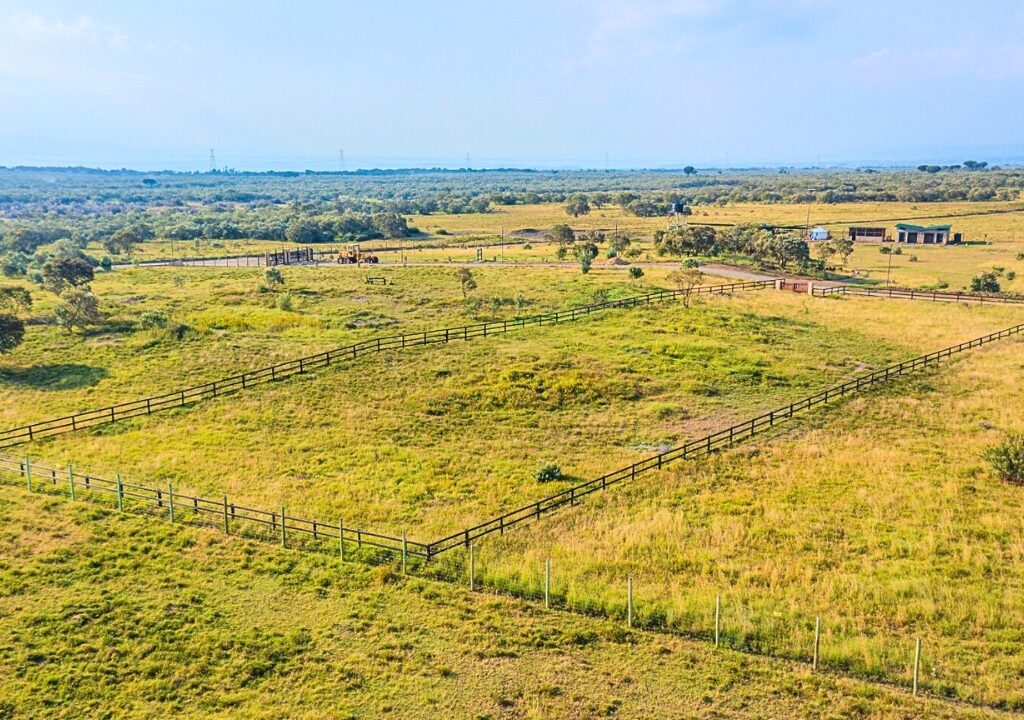 Land for sale in Naivasha