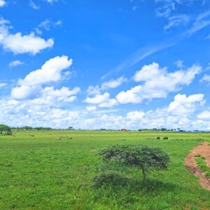 Land for sale in Kitengela